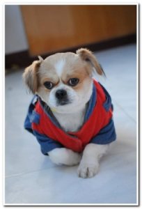 8c9e916486837528c748d0dd507487ce_1